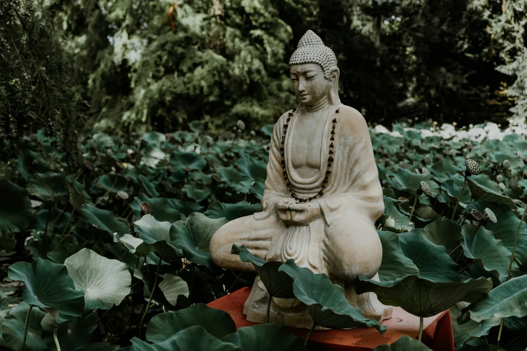 buddha A tranquil Buddha statue surrounded by lush green lotus leaves in a garden, symbolizing peace and serenity.buddha quotes