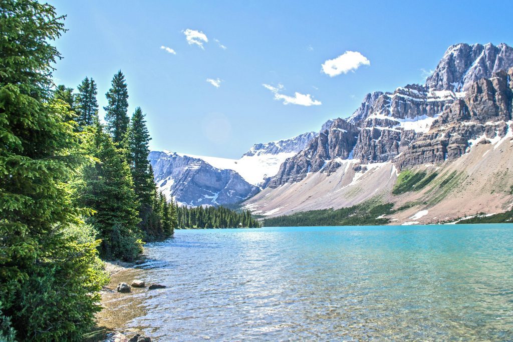 Banff National Park Stunning view of Bow Lake with rocky mountains and green forests in Banff National Park.