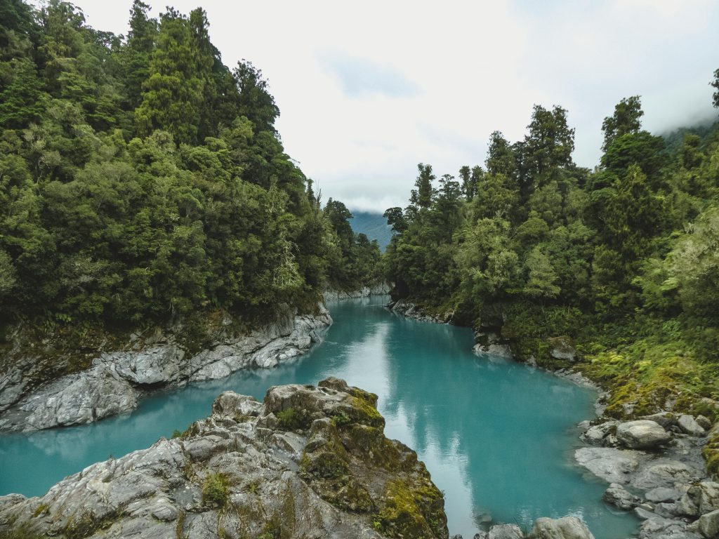New zealand Discover the peaceful Kokatahi River flowing through dense forest in West Coast, New Zealand.